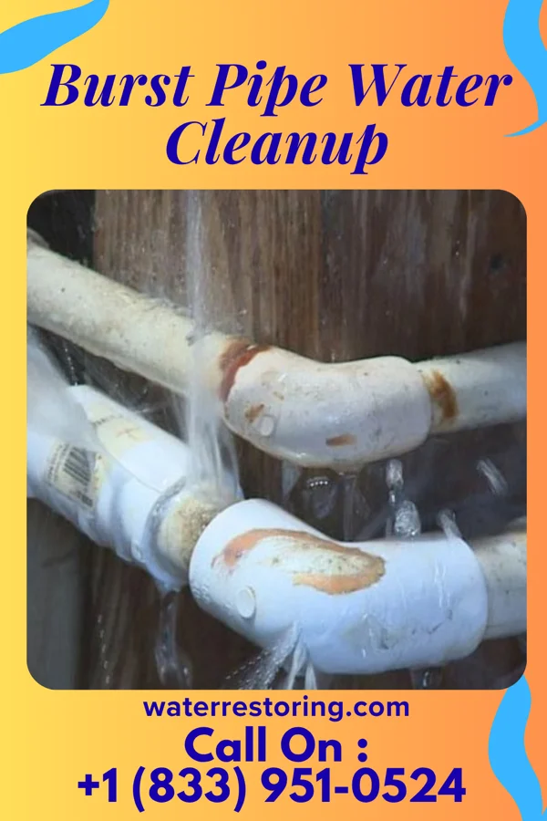 Burst Pipe Water Cleanup in Sherrelwood, CO