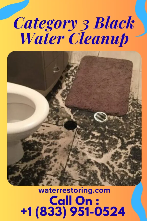 Category 3 Black Water Cleanup in Sherrelwood, CO
