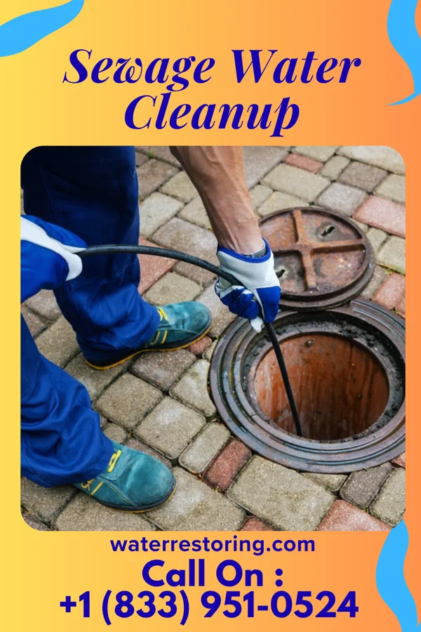 Sewage Water Cleanup in Sherrelwood, CO