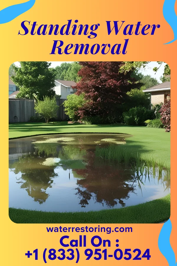 Standing Water Removal in Sherrelwood, CO